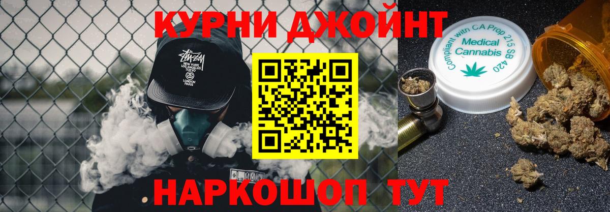 Бошки Шишки планчик Долгопрудный